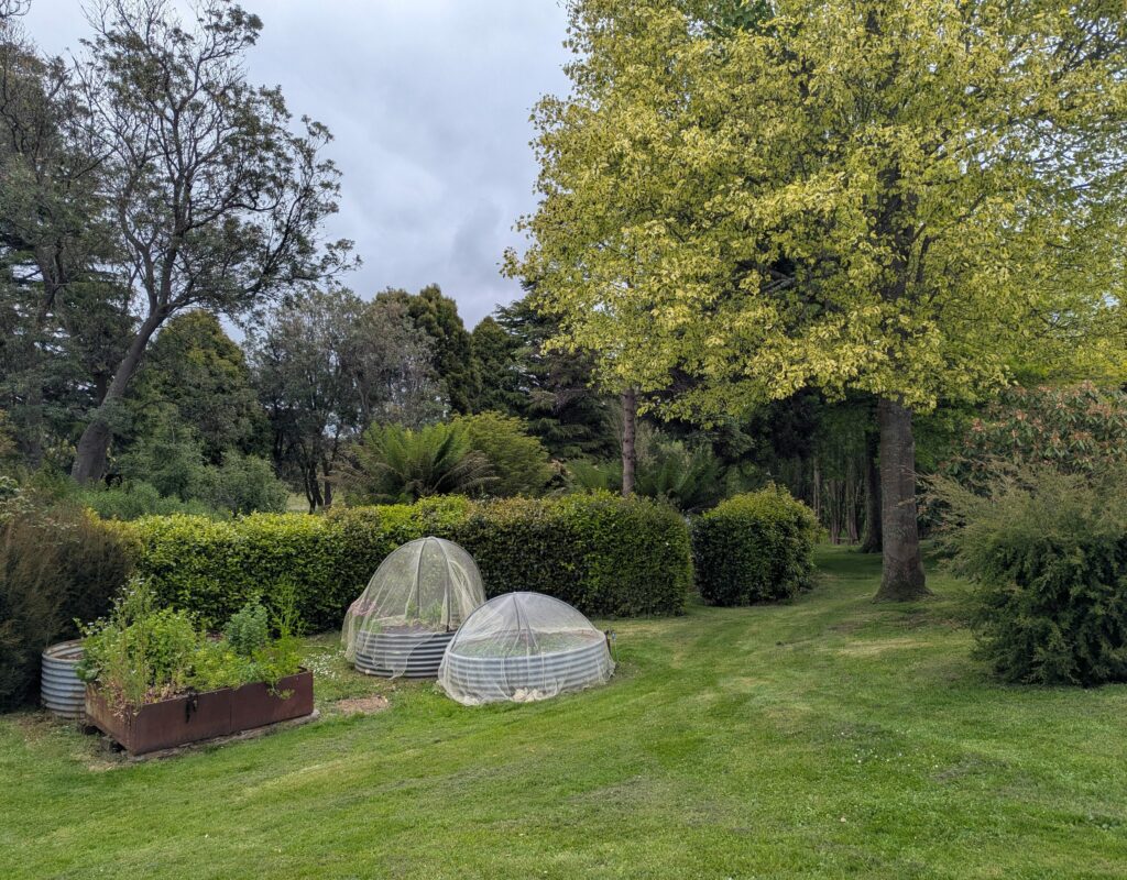 PXL_20251202_044158677