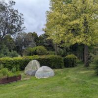 PXL_20251202_044158677 