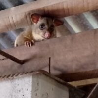 43908658-83E2-4AB8-8D3C-3A2A2AB35341_1_105_c 