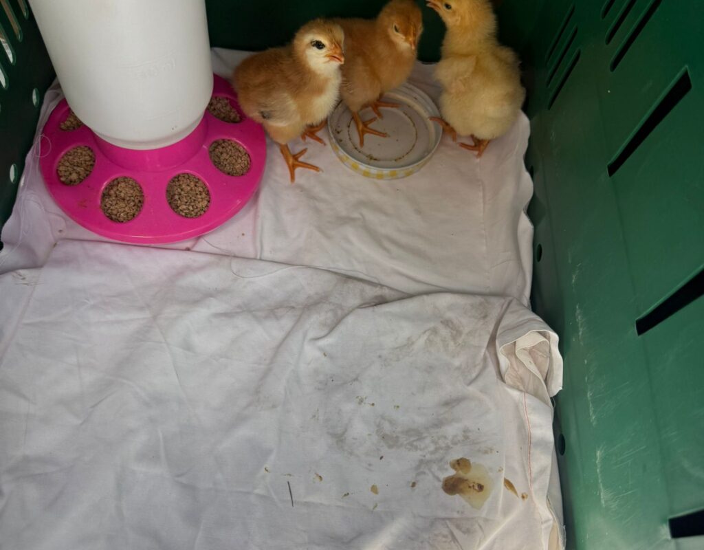 75BC26BE-028C-485D-A210-35DEE20315C3