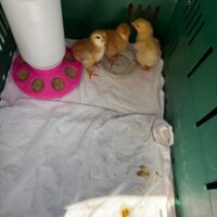 75BC26BE-028C-485D-A210-35DEE20315C3 