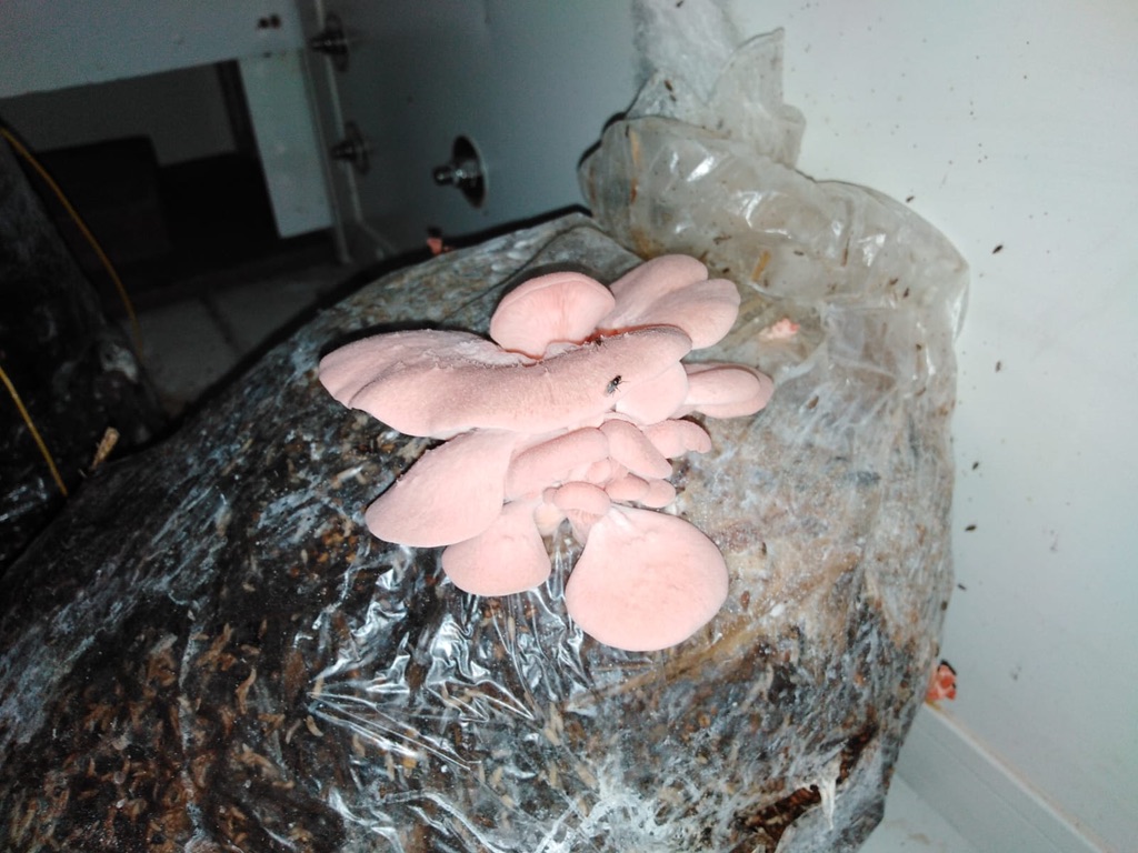 05D80739-3637-435C-89C1-65705117F759_1_105_c