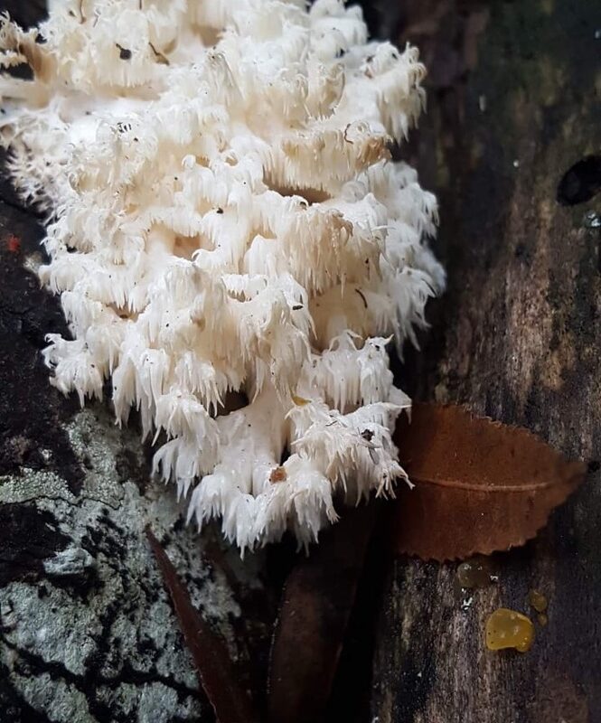 08B22D70-D626-4734-964A-816D50DF00C7_1_105_c