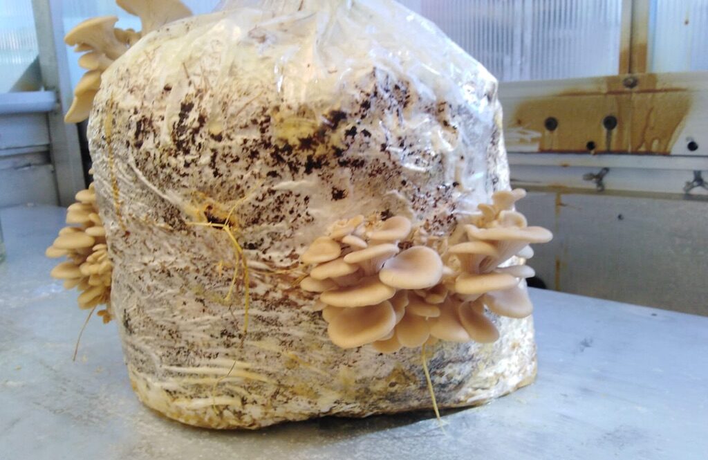 09AB9C0C-5473-4A7D-AD78-1E6485CC32D9_1_105_c