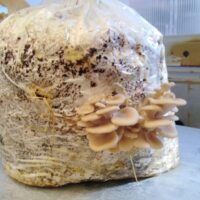 09AB9C0C-5473-4A7D-AD78-1E6485CC32D9_1_105_c 