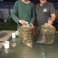 0C51B100-DFC2-488F-B94A-4F68AB5C99B0_1_105_c 