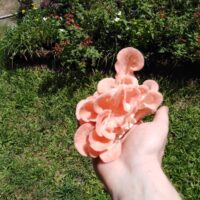 1110A5F7-5371-4EFC-90BA-17CC35A79211_1_105_c 