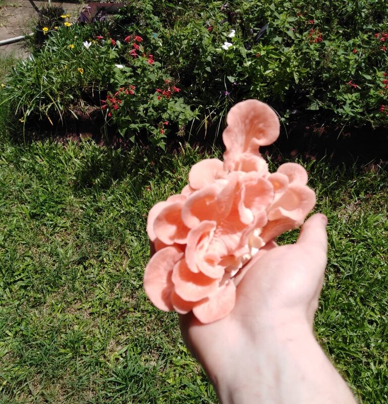 1110A5F7-5371-4EFC-90BA-17CC35A79211_1_105_c