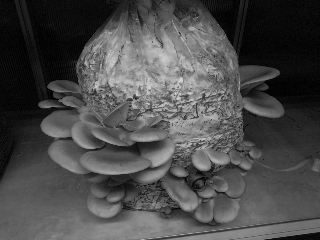 150E1407-6F9F-4670-AE97-03B564394777_1_105_c