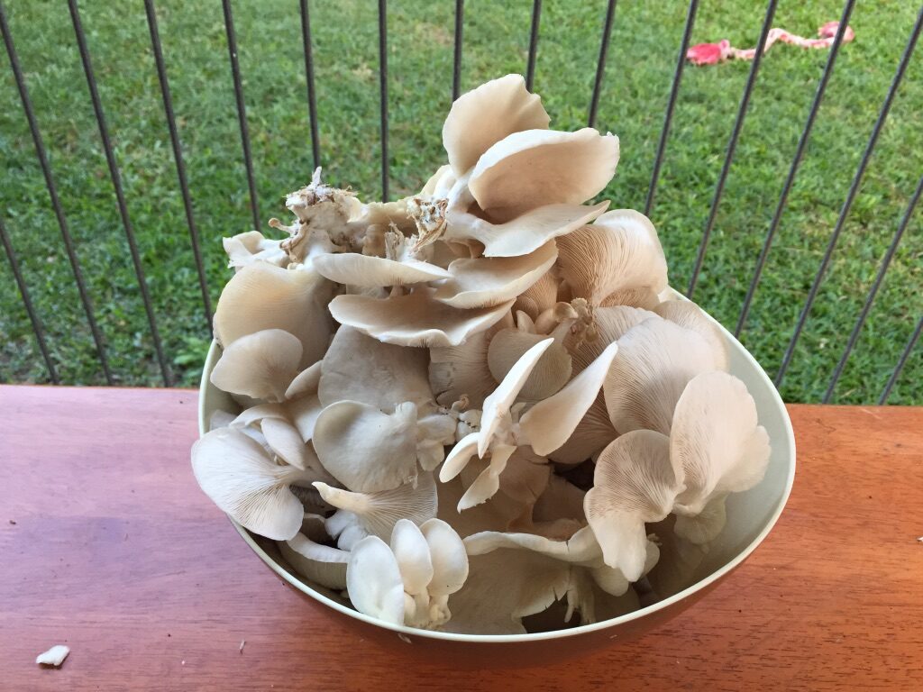 166D698F-5D96-41F3-B765-C51AABA8EE27_1_105_c