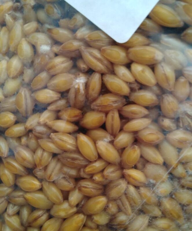 19656D29-8221-49D8-85E7-7C1F337F5D63_1_105_c