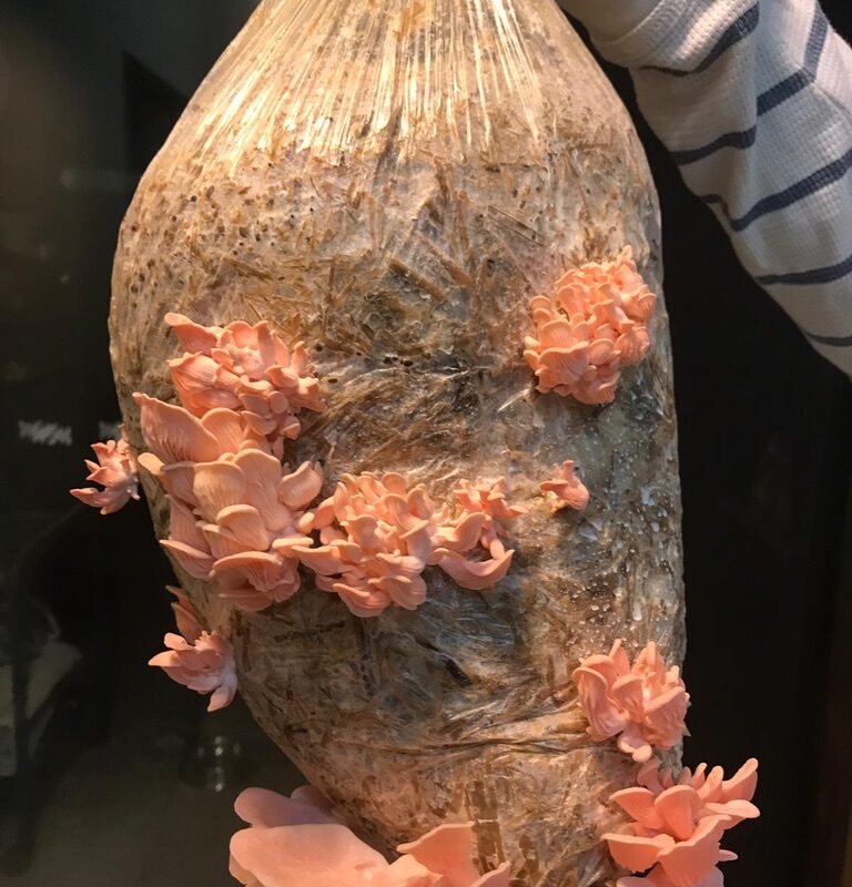 1CD1642F-1649-48DD-8007-E517CA4B583D_1_105_c