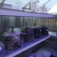 20CAA7DF-F0CD-414A-9862-FD55AACB1259_1_105_c 