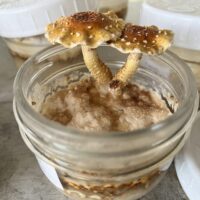 24AB8C7E-F095-4C1C-ABAB-86CBADC42A84_1_105_c 