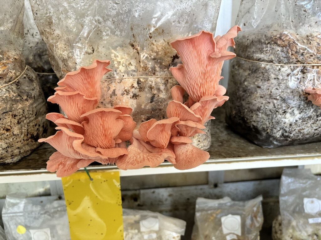 291498C0-4017-4ACD-B6BE-A67AB30E04C6_1_105_c