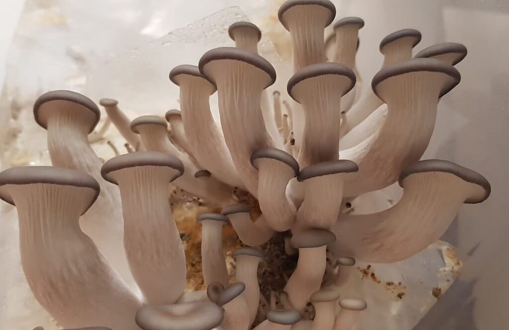 35B1D970-2857-4E46-B3C5-E0F12DCA3C11_1_105_c