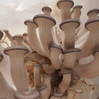 35B1D970-2857-4E46-B3C5-E0F12DCA3C11_1_105_c 