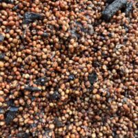 4BA19780-25A5-44EB-AD52-6357DCF156BD_1_105_c 