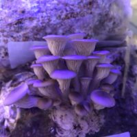 4E6CEA79-BA88-4978-B999-06B09B1086D6_1_105_c 