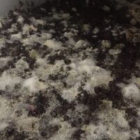 69925CC5-EADF-494C-BB81-3016A19ED030_1_105_c 