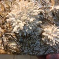 6BCE55D5-6497-4359-91E8-53D7C8A9C1B4_1_105_c 