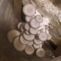 ABEEF9CF-7D19-48A8-95E6-08A20321F3F0_1_105_c 