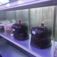 ADE3B9D3-34DC-4D65-AF13-000191AC2763_1_105_c 