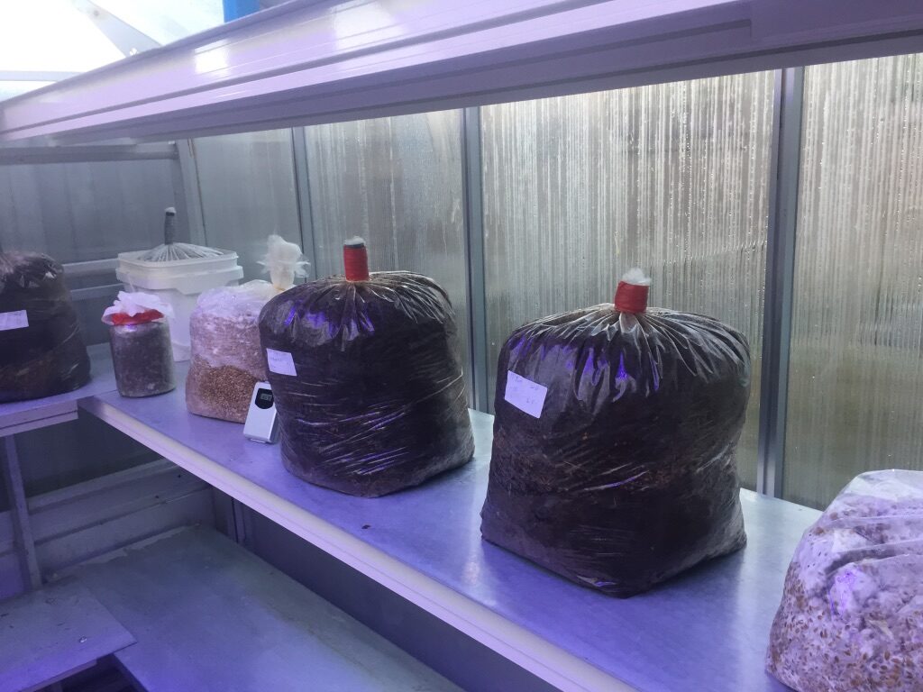 ADE3B9D3-34DC-4D65-AF13-000191AC2763_1_105_c