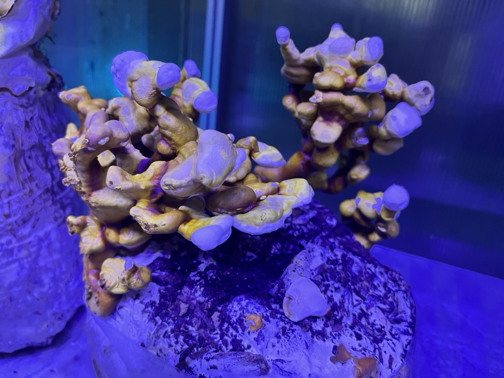 B17885B7-60CC-4753-94E2-9B0B53D9A25A_1_105_c