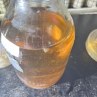 CAF22428-DECB-4DD0-841E-F1D6A0736292_1_105_c 