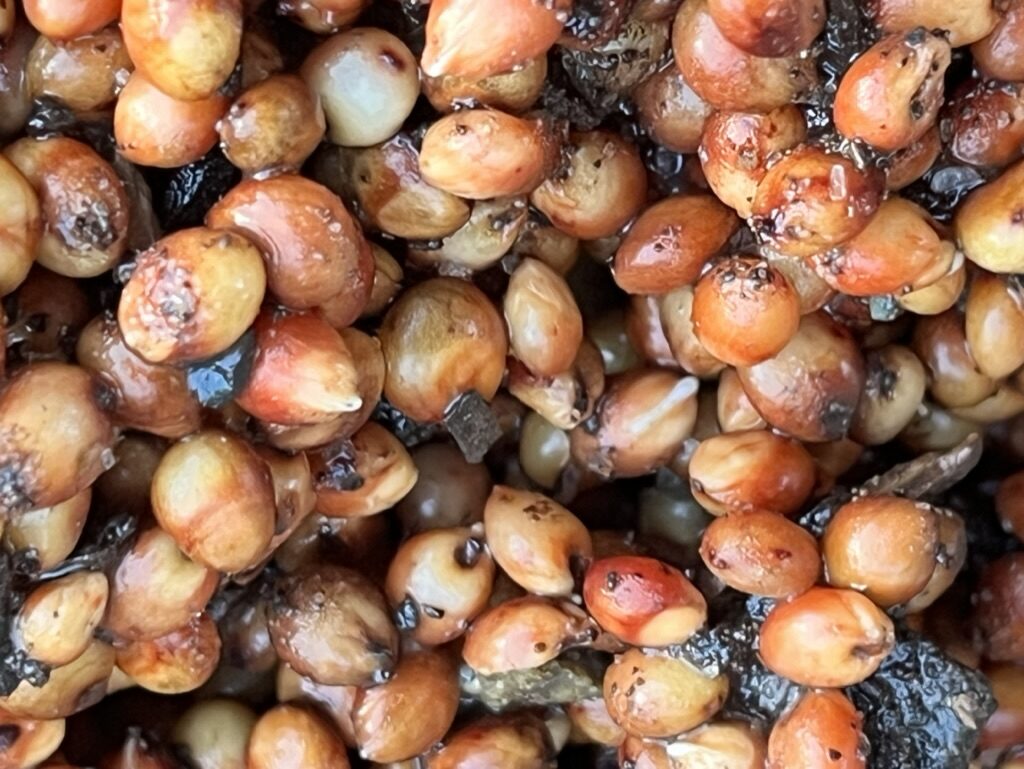 E9D2A63F-E530-4822-85FF-B4565CB06C16_1_105_c