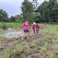 49014F17-5D23-425C-8C91-92366BEDB999_1_105_c 