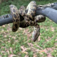 4D2BA471-7458-4A6A-87DD-C68C24EE6DD1_1_105_c 