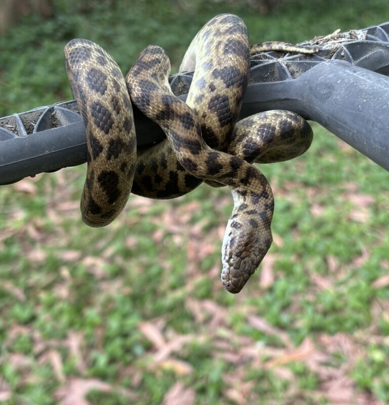 4D2BA471-7458-4A6A-87DD-C68C24EE6DD1_1_105_c