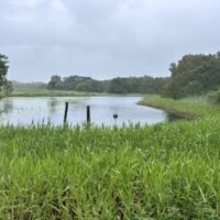 C27004DB-D767-47F2-BF63-842EB2759569_4_5005_c 