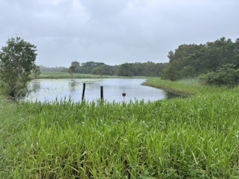 C27004DB-D767-47F2-BF63-842EB2759569_4_5005_c