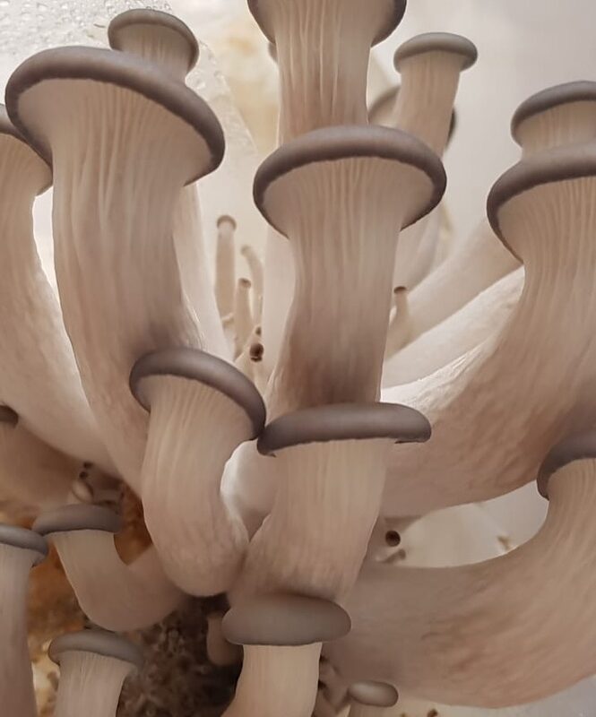 20FAC1BD-A6DA-43F1-BC0B-128150885B0D_1_105_c