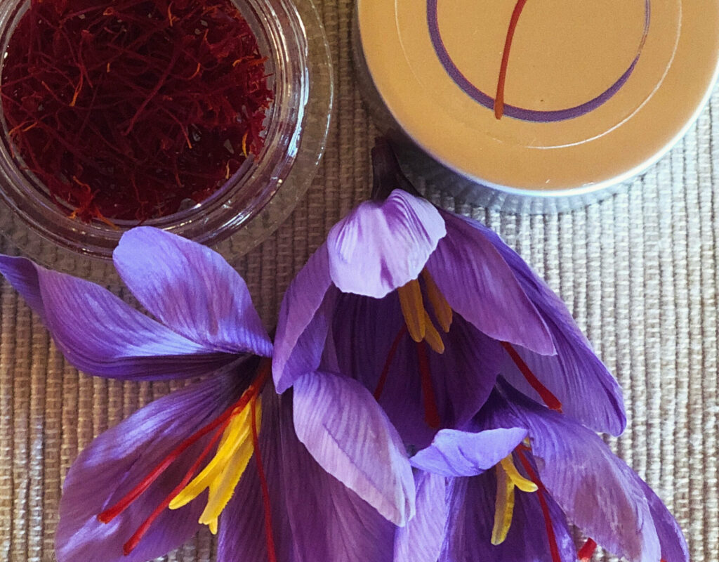 B7EB2BC3-397D-4C69-A95C-C69BAA04DC7A