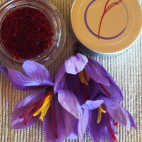 B7EB2BC3-397D-4C69-A95C-C69BAA04DC7A 