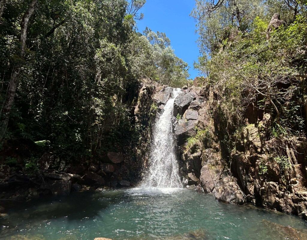 CB305F44-BB2B-4E55-B343-F2D26A022409