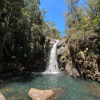 CB305F44-BB2B-4E55-B343-F2D26A022409 