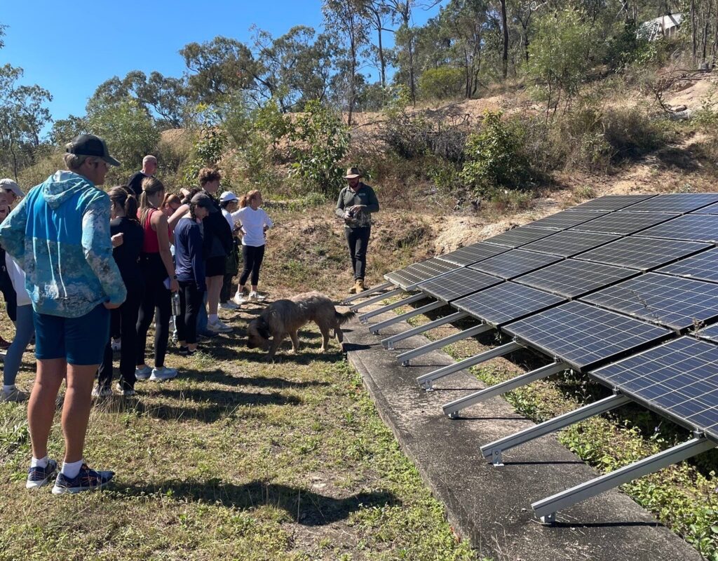 D1F1761E-C674-4C4C-9FAC-73517ADD346C