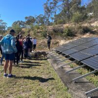 D1F1761E-C674-4C4C-9FAC-73517ADD346C 