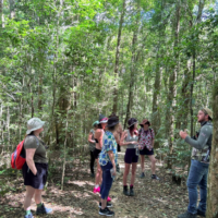 Screen Shot 2026-01-29 at 3.24.54 pm 