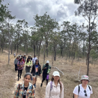 Screen Shot 2026-01-29 at 3.25.22 pm 