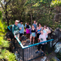 Screen Shot 2026-01-29 at 3.26.19 pm 