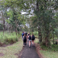 Screen Shot 2026-01-29 at 3.27.18 pm 