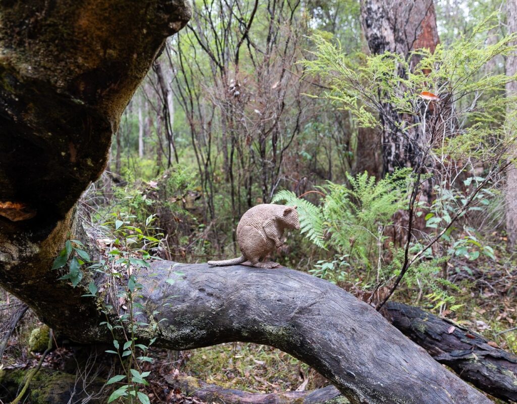 quokka sculpture at Understory