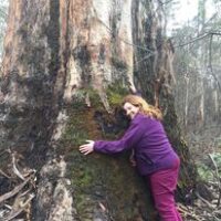 tree hugging at Forest Park 