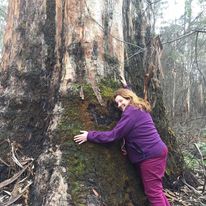 tree hugging at Forest Park